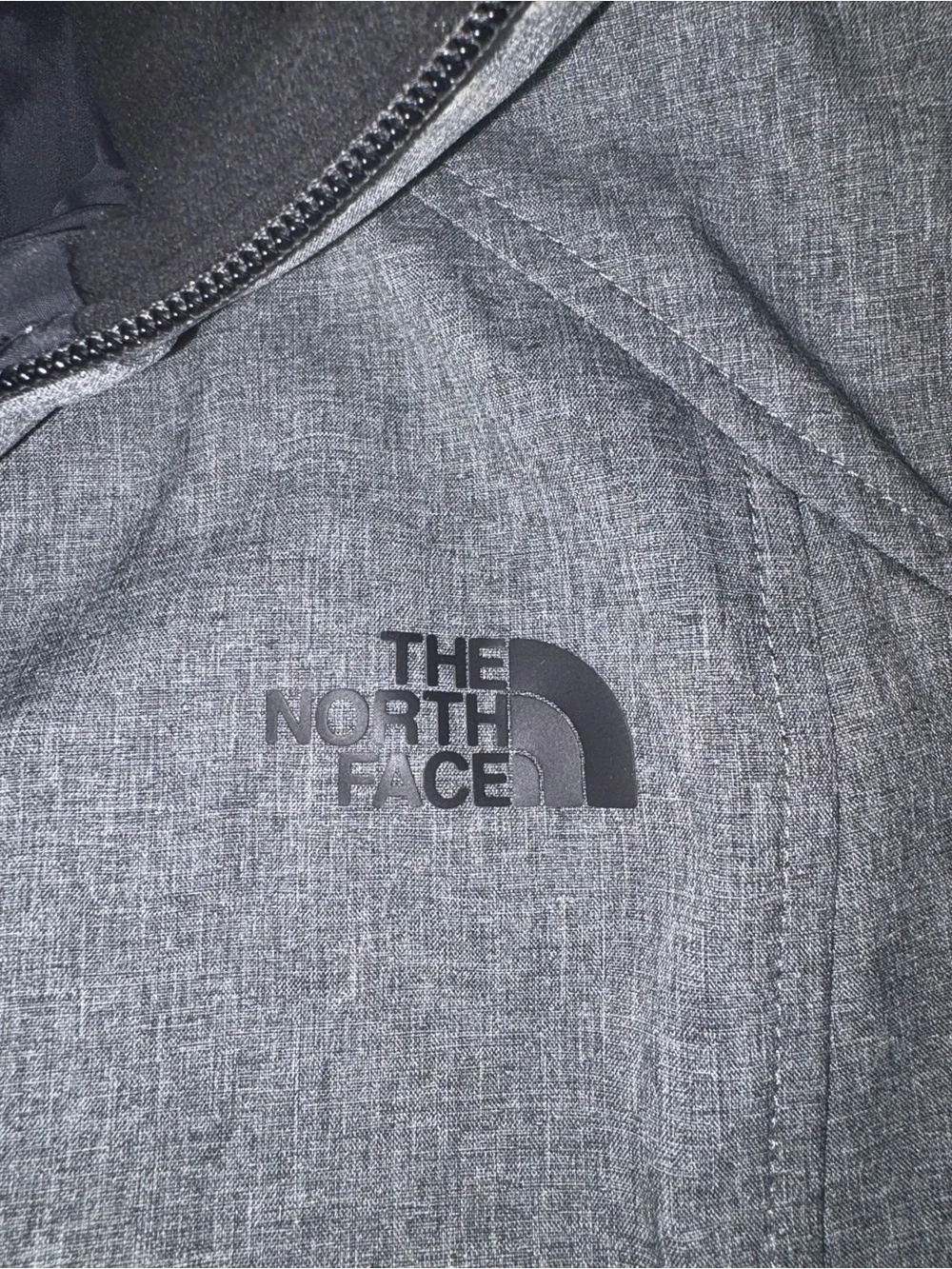 The North Face Men’s Light Gray Hooded Puffer Jacket